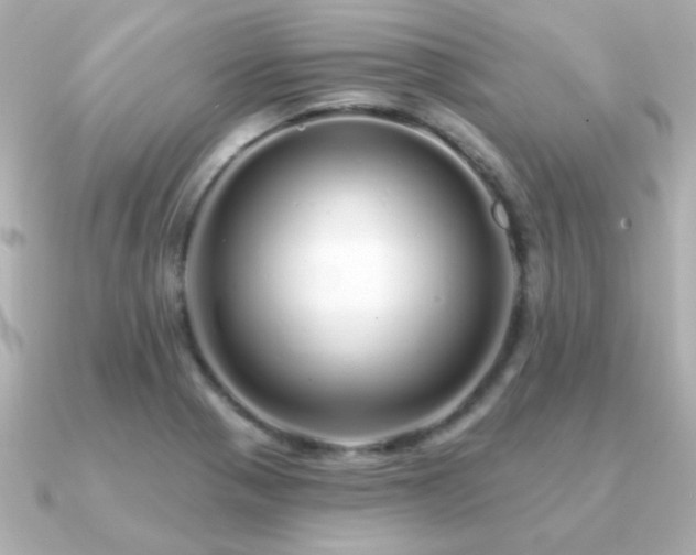 X0000091311321200708101456