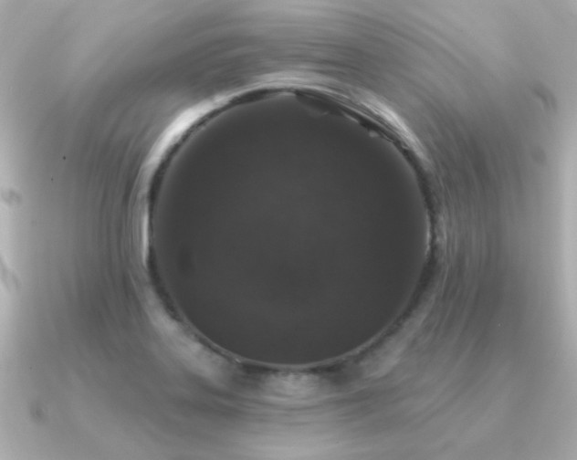 X0000091311323200708101456