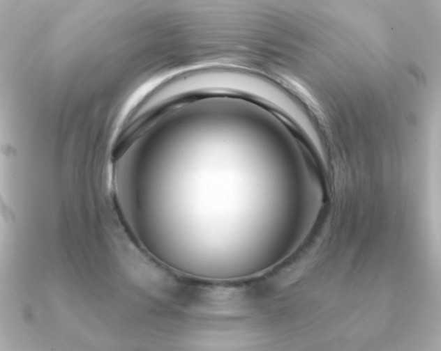 X0000091311324200708101456