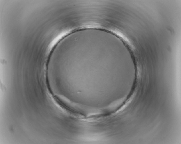 X0000091311325200708101456