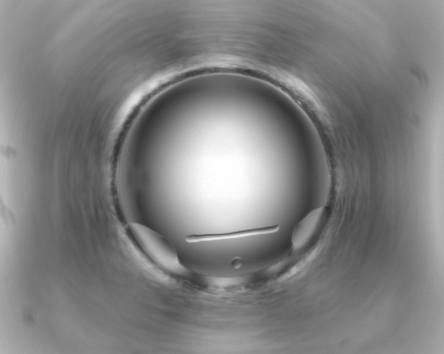 X0000091311326200708101456