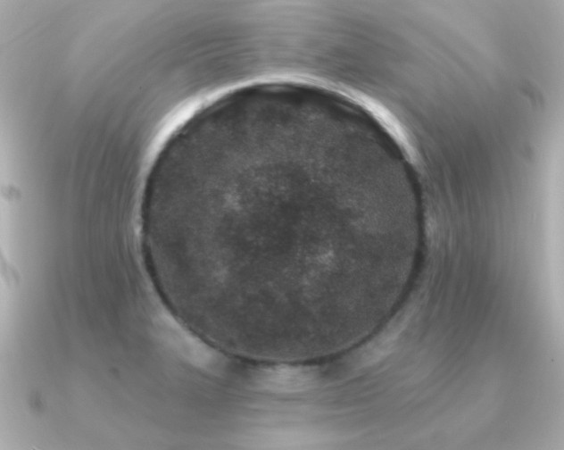 X0000091311327200708101456