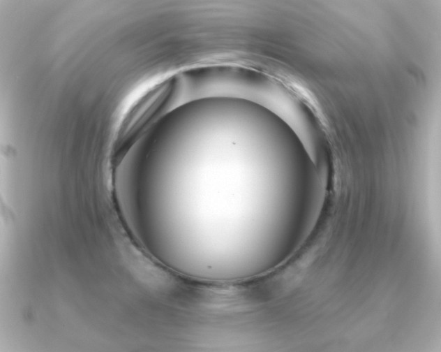 X0000091311328200708101456