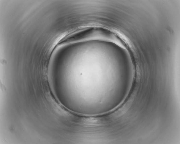 X0000091311329200708101456