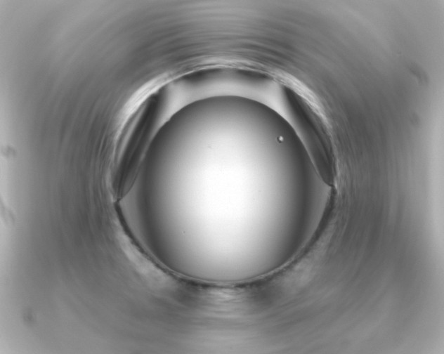 X0000091311330200708101456