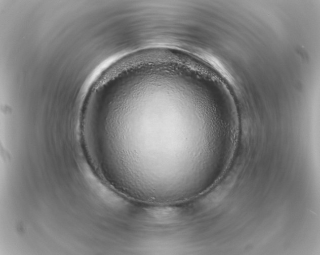 X0000091311331200708101456