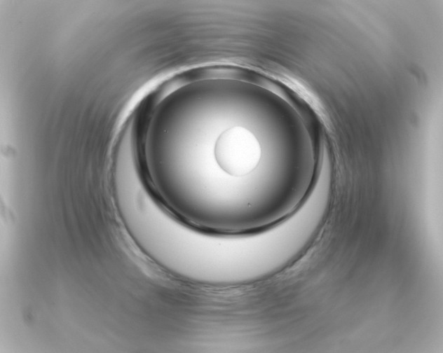 X0000091311332200708101456