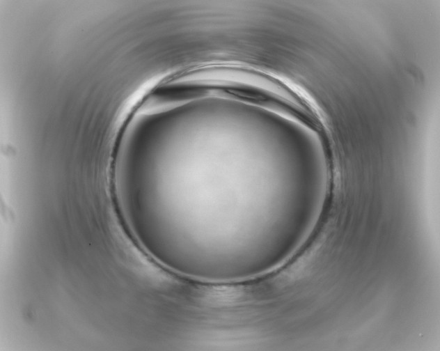 X0000091311333200708101456