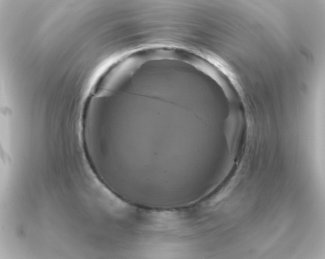 X0000091311334200708101456