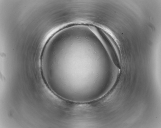 X0000091311335200708101456