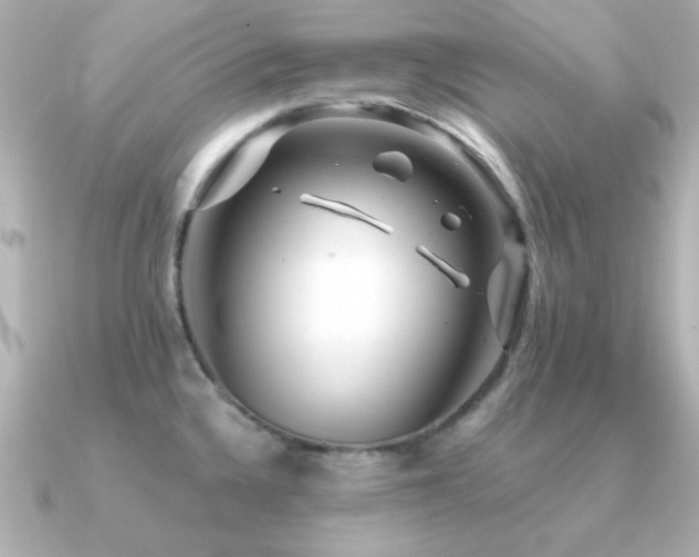 X0000091311336200708101456