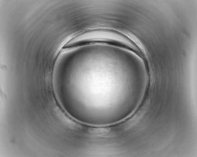 X0000091311337200708101456