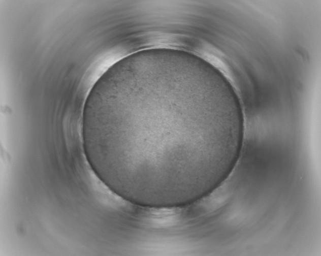 X0000091311338200708101456