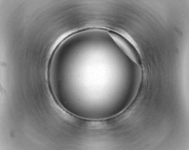 X0000091311339200708101456