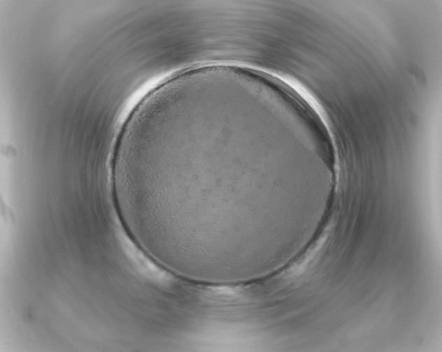 X0000091311341200708101456