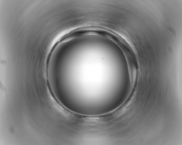 X0000091311342200708101456