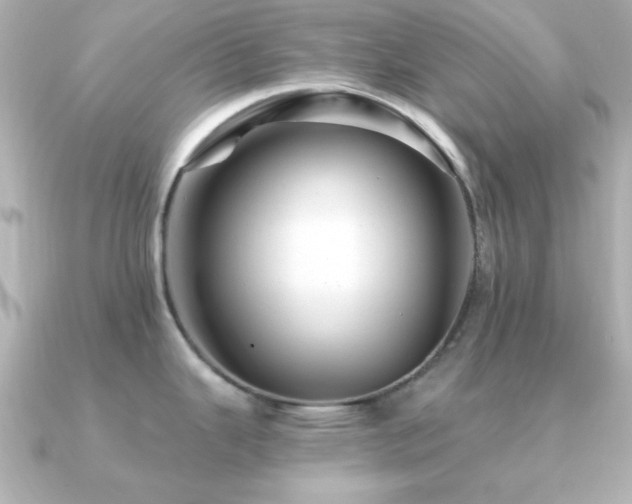 X0000091311343200708101456