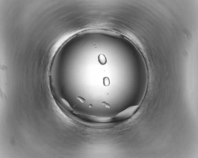 X0000091311344200708101456