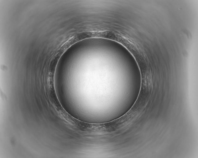 X0000091311346200708101456