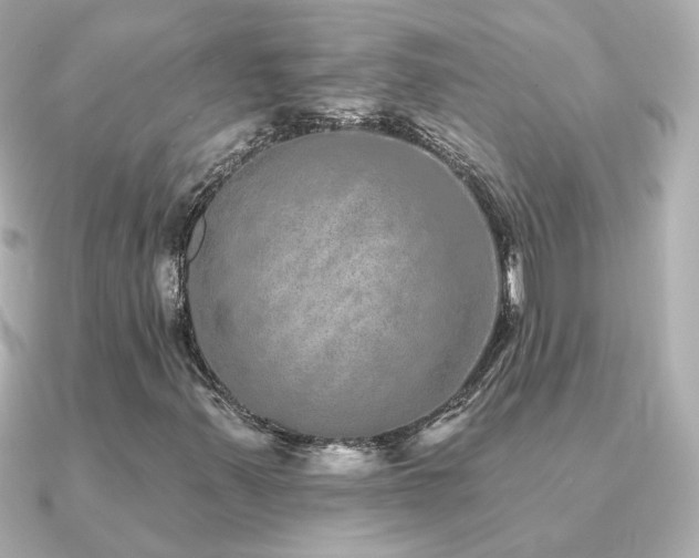 X0000091311347200708101456