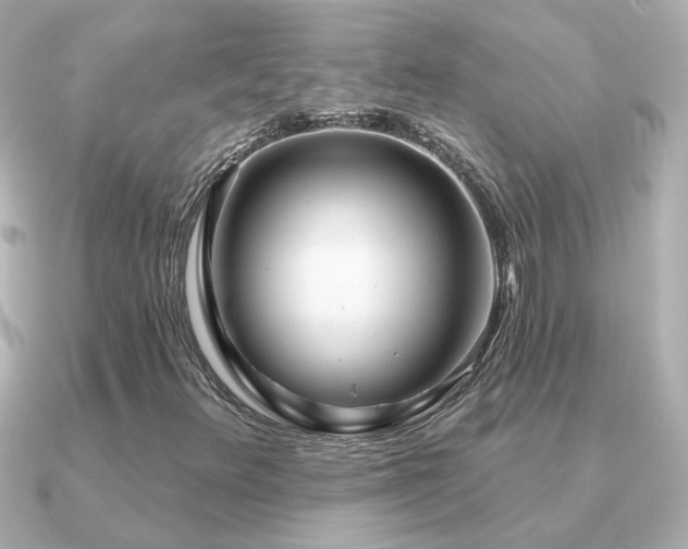 X0000091311348200708101456