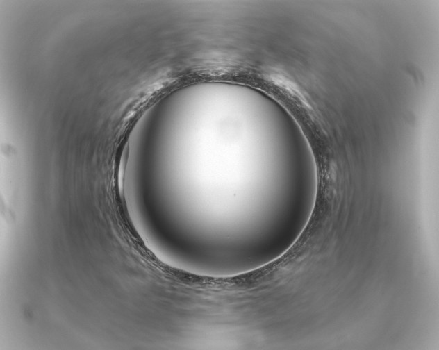 X0000091311349200708101456
