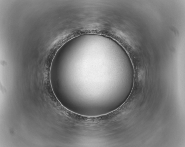 X0000091311350200708101456