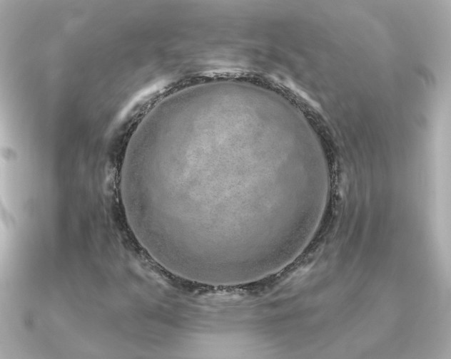 X0000091311351200708101456