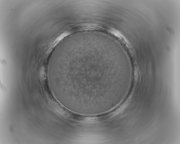 X0000091311353200708101456