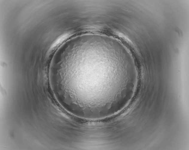 X0000091311354200708101456
