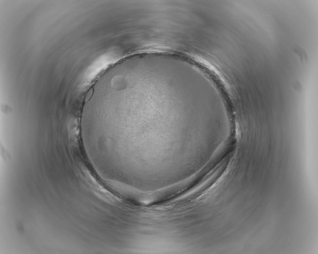 X0000091311355200708101456