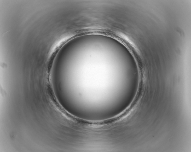 X0000091311357200708101456