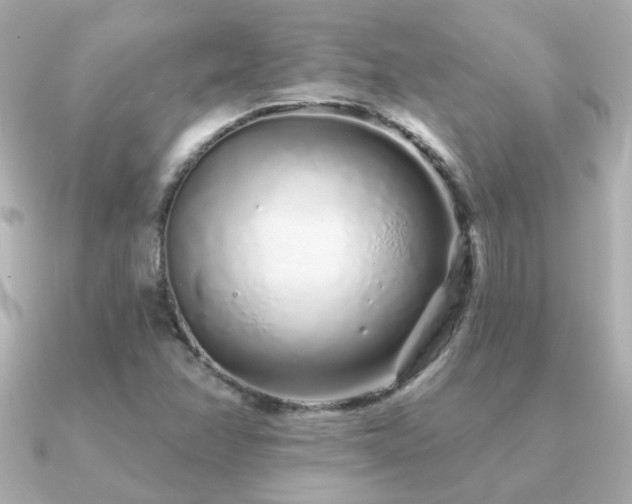 X0000091311358200708101456
