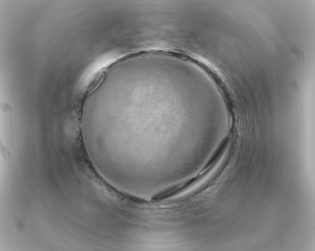 X0000091311359200708101456