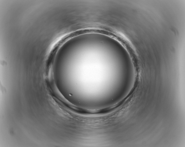 X0000091311360200708101456