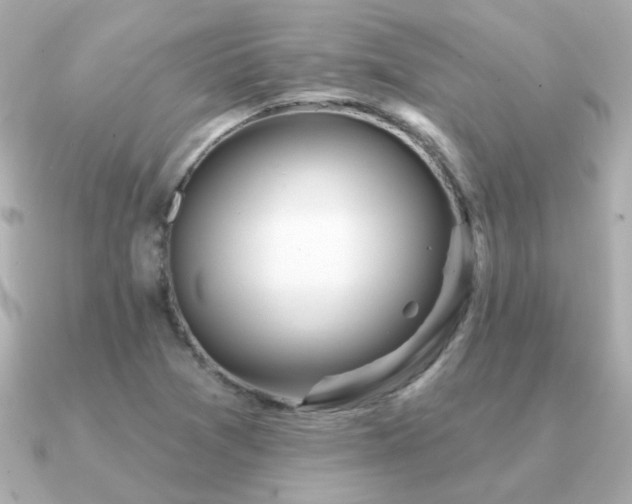 X0000091311361200708101456