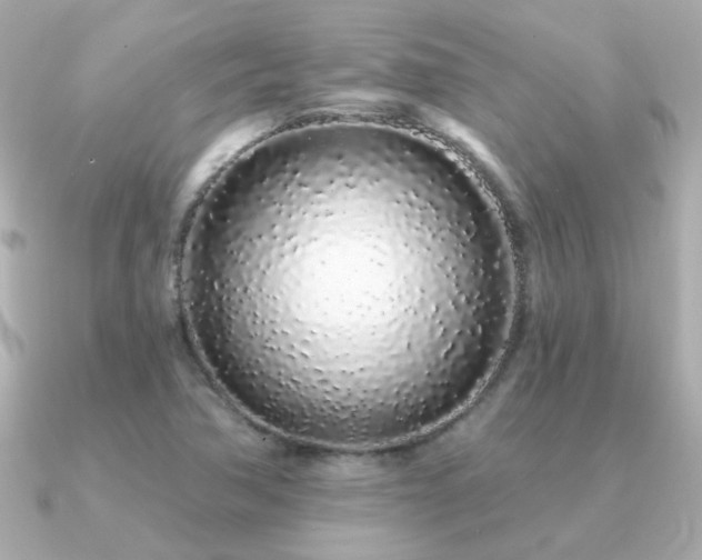 X0000091311362200708101456
