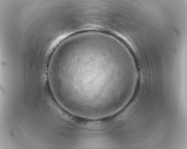 X0000091311363200708101456