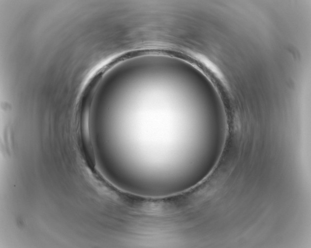 X0000091311364200708101456