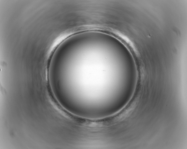 X0000091311365200708101456