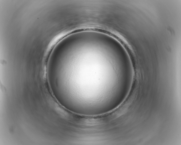 X0000091311366200708101456