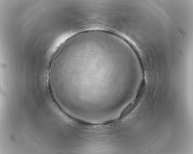 X0000091311367200708101456