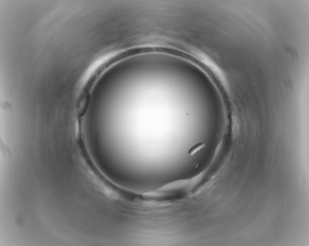 X0000091311368200708101456