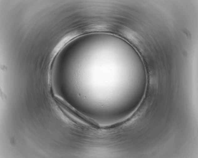 X0000091311370200708101456