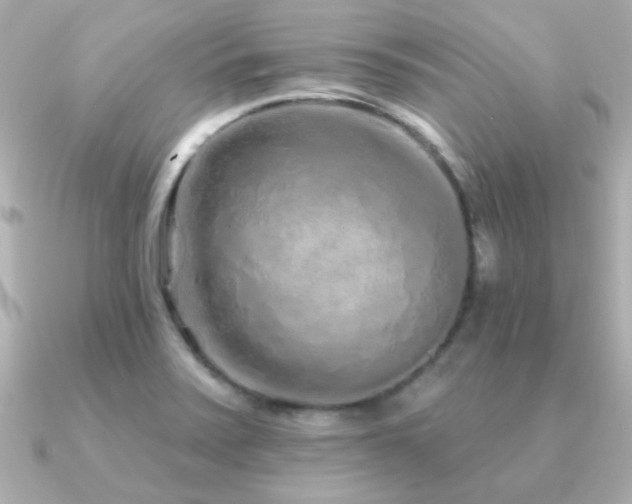 X0000091311371200708101456
