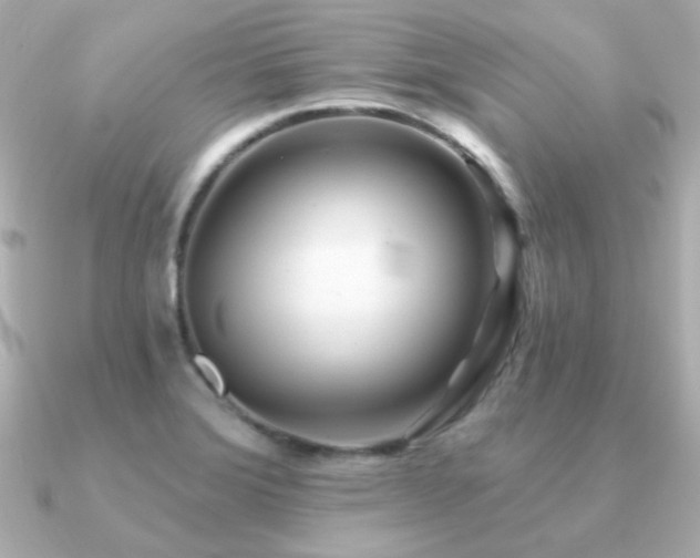 X0000091311372200708101456