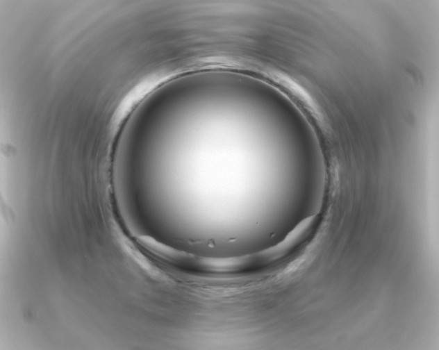 X0000091311373200708101456