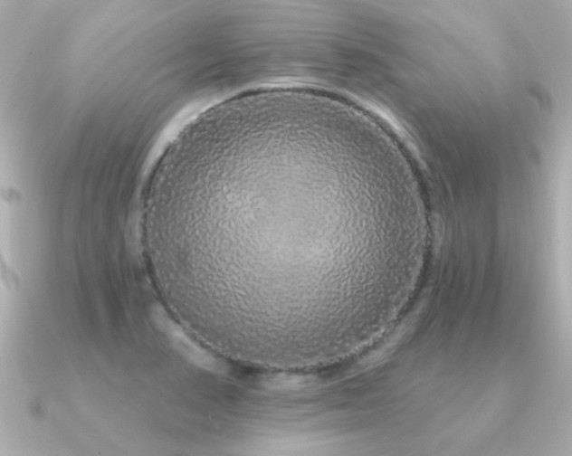 X0000091311374200708101456