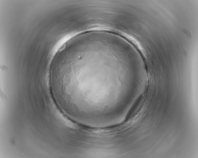 X0000091311375200708101456