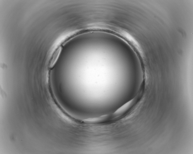 X0000091311376200708101456